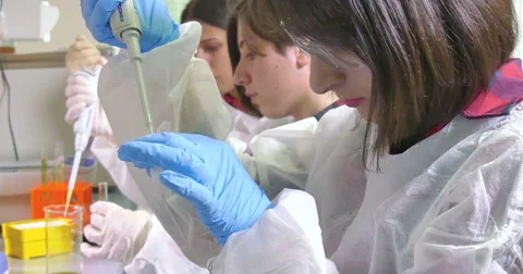 Scientist working at the laboratory Stock Footage 66745418