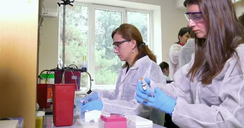 Scientist working at the laboratory Stock Footage 66745777