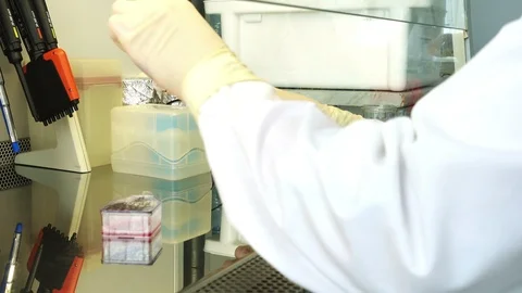 Scientist Working in Laboratory 스톡 동영상 93776972