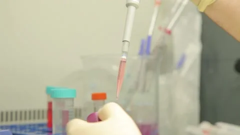 Scientist working in the laboratory Stock Footage 136277457