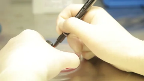 Scientist working in the laboratory Stock Footage 136277846