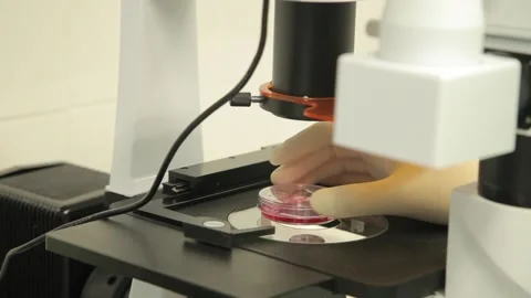Scientist working in the laboratory Stock Footage 136278061