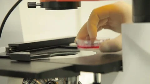 Scientist working in the laboratory Stock Footage 136278099