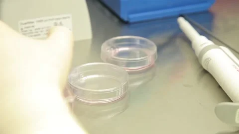 Scientist working in the laboratory Stock Footage 136278162