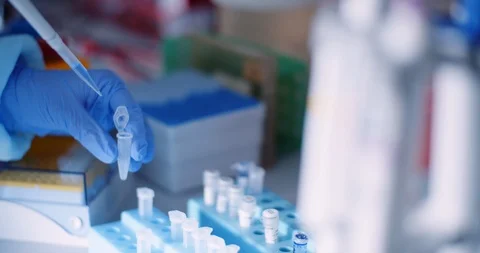 Scientist working in laboratory microbiology Video stock 126238591