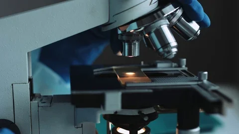 Scientist working in laboratory with microscope 動画素材 70152751