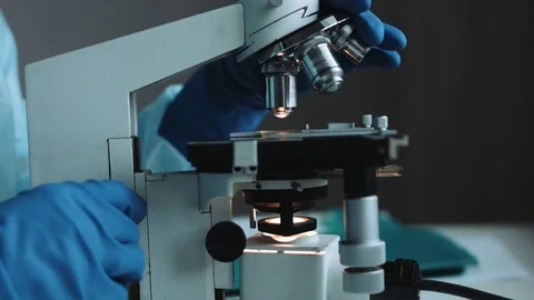 Scientist working in laboratory with microscope Vídeo Stock 70152764