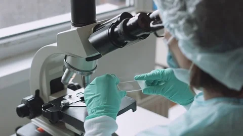 Scientist working in laboratory with microscope Stock Footage 72834797