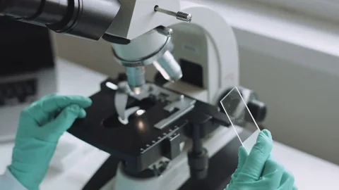 Scientist working in laboratory with microscope Stock-Footage 72836151
