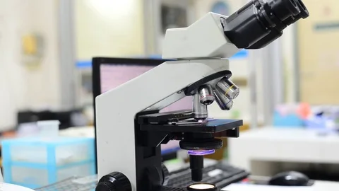 Scientist working in laboratory with microscope Stock Footage 75784894