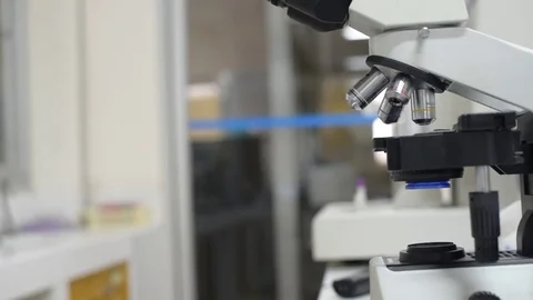 Scientist working in laboratory with microscope Stock Footage 75785359