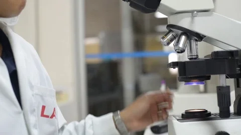 Scientist working in laboratory with microscope Stock-Footage 75785362