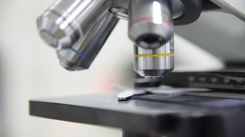 Scientist working in laboratory with microscope Stock Footage 76547917