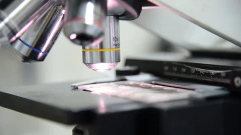 Scientist working in laboratory with microscope Stock Footage 76547979