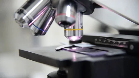 Scientist working in laboratory with microscope Stock Footage 76548351