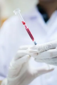 Scientist working at laboratory Foto stock