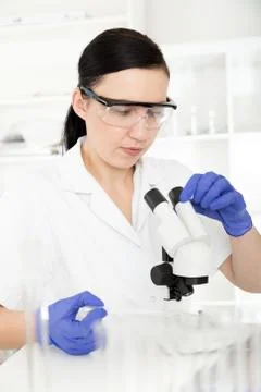 Scientist working at the laboratory. Stock Photos