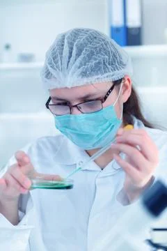 Scientist working at the laboratory. Stock Photos