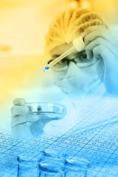 Scientist working at the laboratory. Foto stock