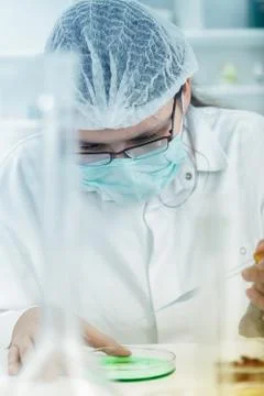 Scientist working at the laboratory Stock Photos