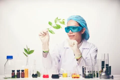 Scientist working in laboratory Stock Photos