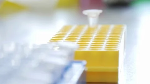 Scientist working with laboratory sample tubes 4k Video stock 75064974