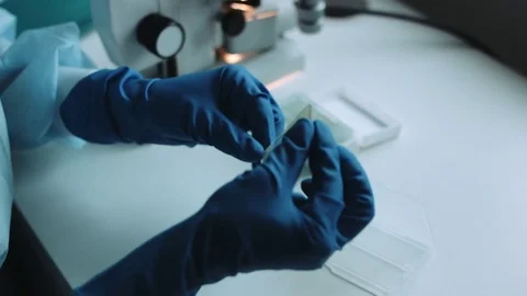 Scientist working in laboratory with samples Stock Footage 70152756