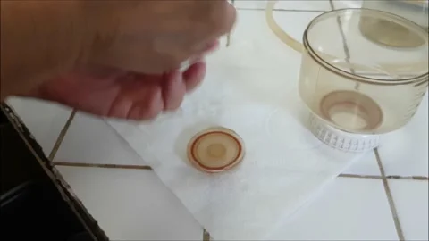 Scientist Working In Laboratory With Samples Stock Footage 138826258