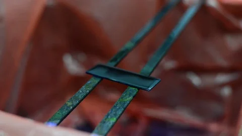 Scientist working in laboratory staining CBC Vídeo Stock 75784042