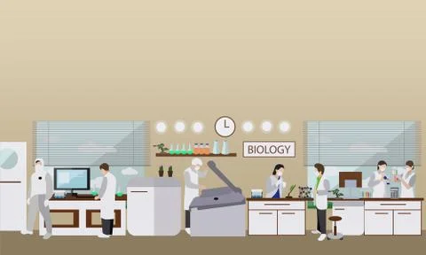 Scientist working in laboratory vector illustration. Science lab interior Illustrazione stock