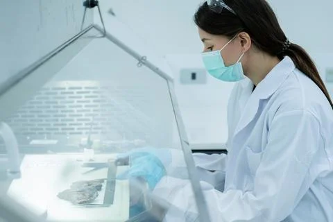 Scientist working in a laboratory while examining samples under a microscop.. 스톡 사진