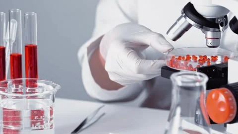 A scientist is working with microscope in laboratory. Video stock 270757705