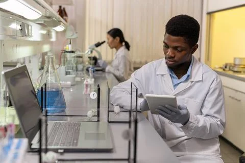 Scientist working with two kinds of mice Stock Photos