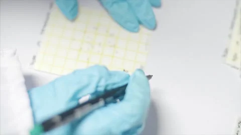 Scientist works on formulas in the laboratory. Stock Footage 159722785