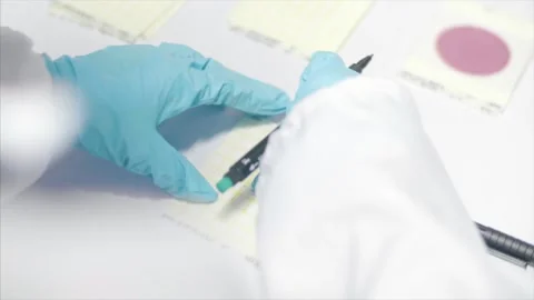 Scientist works on formulas in the laboratory. Stock Footage 159722801