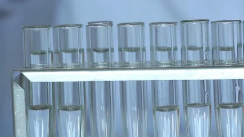 Scientist  works with glassware using batcher Stock-Footage 77208944