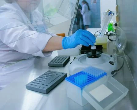 A scientist works at a lab bench using various tools and equipment to perform Stock Photos