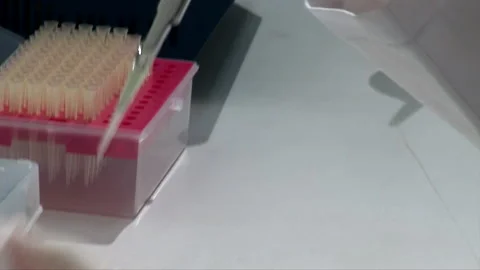 Scientist Works In Laboratory, Developing A Vaccine For Coronavirus Treatment. Stock Footage 147212404