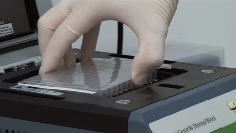 Scientist Works In Laboratory, Developing A Vaccine For Coronavirus Treatment. Stock Footage 147212824