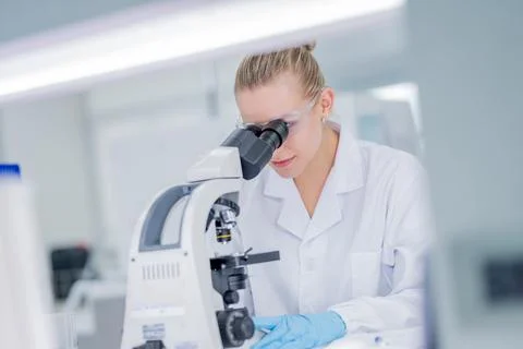 Scientist works with a microscope in a laboratory during a research session.. Fotos Stock