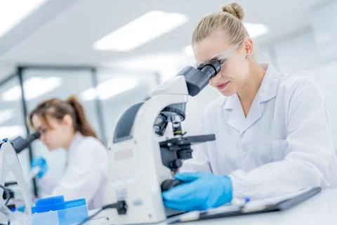 Scientist works with microscope in a laboratory setting during daylight hours Stockfoto's