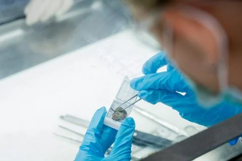 Scientist works with a sample in a lab setting during a research session in.. Stock Photos