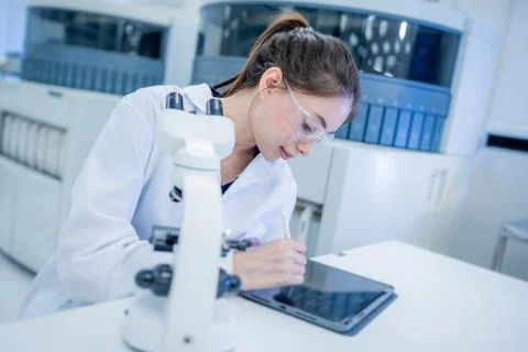 Scientist works with a tablet and microscope in a laboratory during the day.. Fotos Stock