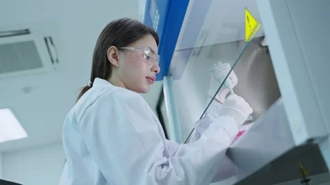 Scientist works transfer liquid in research project at biotechnology lab Stock Footage 334735885