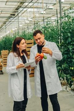 Scientists analyze the results of an experiment. Laboratory researchers discuss Stock Photos