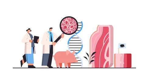Scientists analyzing dna of cultured red raw meat made from animal cells Stock Illustration
