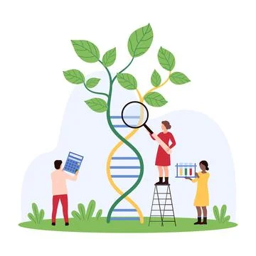 Scientists Analyzing DNA Growth concept Stock Illustration