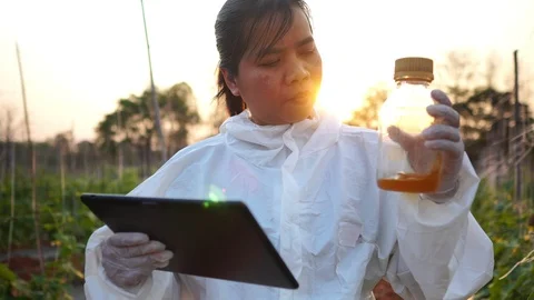 Scientists are checking for contaminants in vegetable conversion Stock Footage 124962615