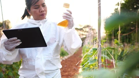 Scientists are checking for contaminants in vegetable conversion Stock Footage 124962833