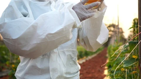 Scientists are checking for contaminants in vegetable conversion Stock Footage 124963381